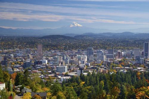 a view of a city with a mountain in the background at Marv's Place in West Linn
