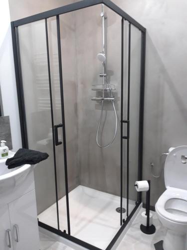 a shower stall in a bathroom with a toilet at CURIAL INSOLITE in Chambéry