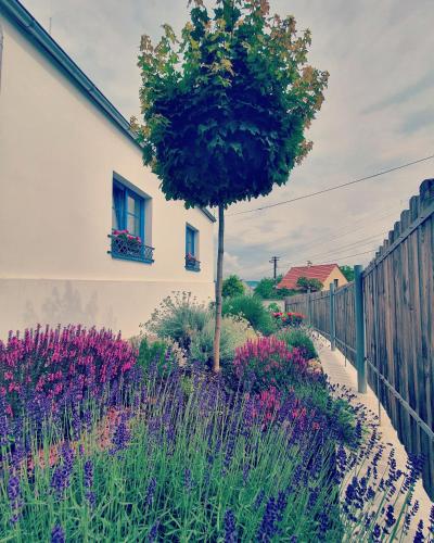 a tree in a garden next to a fence at Sousedi Pavlov in Pavlov