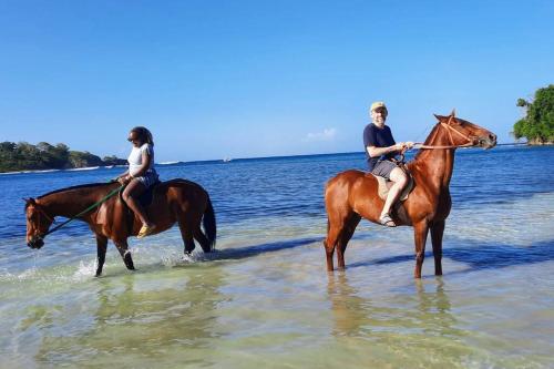 um homem e uma mulher a cavalo na praia em Amazing Location! Walk to town, beach & dinner - PAYMENT REQUIRED TO RESERVE em Ocho Rios