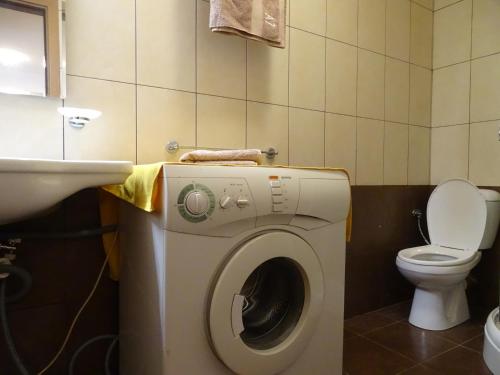a bathroom with a washing machine and a toilet at APARTMENT Darsi in Pamporovo