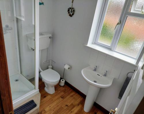 uma casa de banho com um WC, um lavatório e um chuveiro em The Beehive - Self catering in the heart of the Forest of Dean em Whitecroft