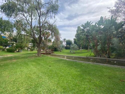 a park with a tree in the grass at Luxury apartments Alamos beach Torremolinos - Costa Lago in Torremolinos