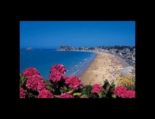 a view of a beach with pink flowers at Studio de Charme "Le Coquillage " Jacuzzi privatif in Pléneuf-Val-André