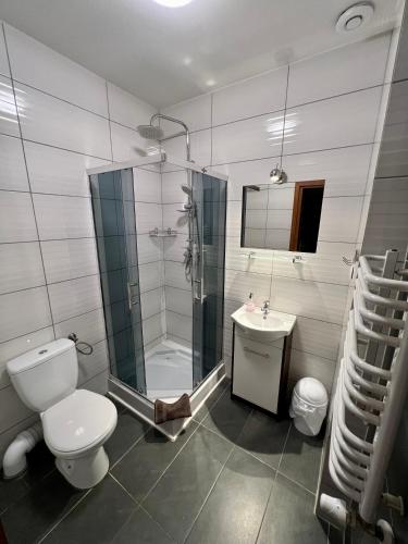 a bathroom with a toilet and a shower and a sink at Apartamenty Ostrowiec - Pokoje Gościnne Centrum in Ostrowiec Świętokrzyski