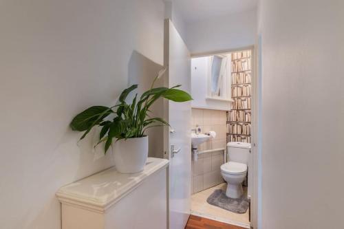 a bathroom with a toilet and a potted plant at Wonderful London mansion in the heart of Marylebone in London