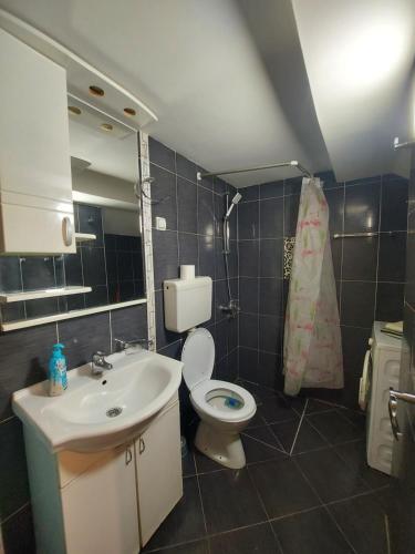 a bathroom with a sink and a toilet and a mirror at K2 Apartment in Belgrade