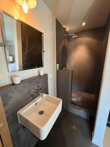 une salle de bain avec un lavabo et une douche dans l'établissement Maison de Campagne in Beautiful Burgundy, à Noyers-sur-Serein