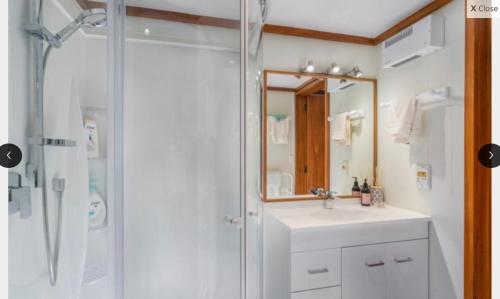 a bathroom with a shower and a sink and a mirror at Lake View Garden Apartment in Taupo