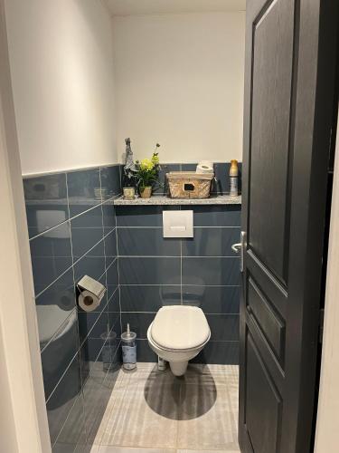 La salle de bains est pourvue de toilettes et d'un mur carrelé bleu. dans l'établissement Loubat Christophe, à Millau