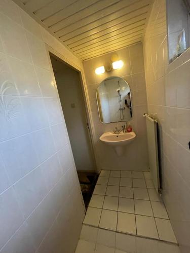 埃因霍溫的住宿－Big Room，一间带水槽和镜子的小浴室