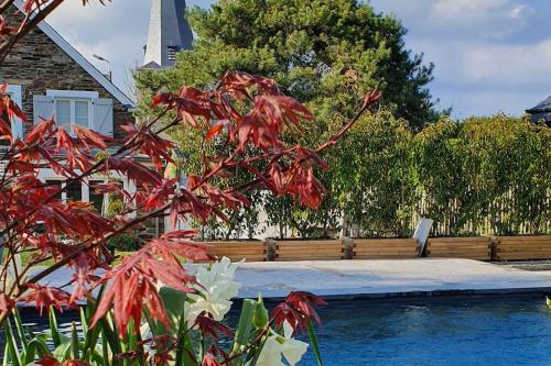 a tree with red leaves next to a swimming pool at PINE COTTAGE- 5 minutes Francorchamps - charme -piscine-calme-jardin in Sart