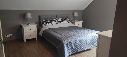 a bedroom with a bed and two night stands at Kaszuby Punkt Klonowo Przywidz sauna klima basen in Przywidz