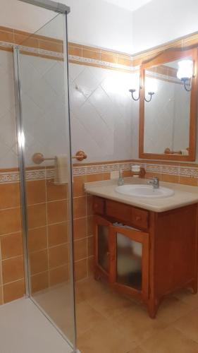 a bathroom with a sink and a shower at La Chosita in Icod de los Vinos