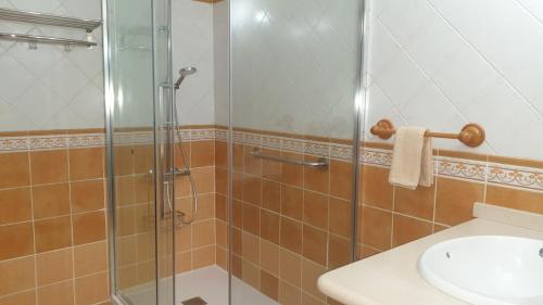 a bathroom with a shower and a sink at La Chosita in Icod de los Vinos