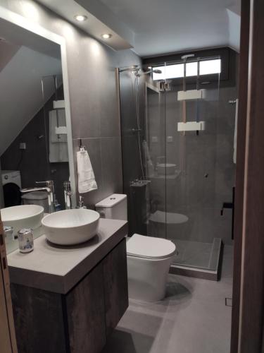 La salle de bains est pourvue d'un lavabo, de toilettes et d'une douche. dans l'établissement Όμορφη οικία στο κέντρο της Σαλαμίνας., à Salamine