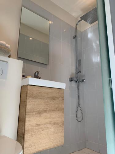 La salle de bains est pourvue d'une douche et d'un miroir. dans l'établissement Studio type loft, à Paris