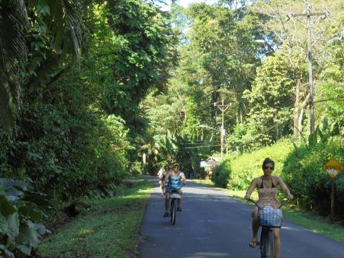 three people riding bikes down a road at Hotel Casitas Mar y Luz in Puerto Viejo