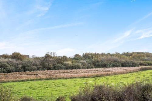 a large green field with trees in the background at Duinenhuisje in Ostend