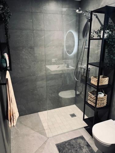a bathroom with a shower with a toilet and a sink at Albatross Beach Apartment - SPA, Sea and Forest in Ķesterciems