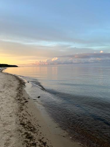 a view of a beach with the ocean at Albatross Beach Apartment - SPA, Sea and Forest in Ķesterciems