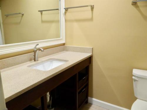 een badkamer met een wastafel, een spiegel en een toilet bij Deerfield Plantation 217A2 in Myrtle Beach