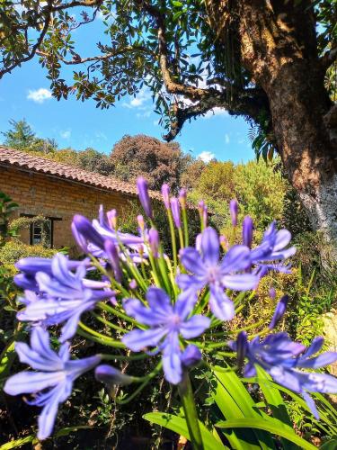 Rancho Coyotepec – Photos 4