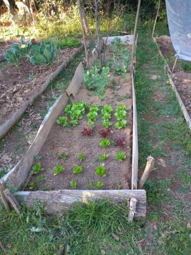 Rancho Coyotepec – Photos 5