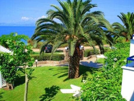 a palm tree in a yard next to the ocean at Agnadi Hotel in Rovies