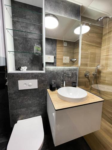 a bathroom with a sink and a toilet and a mirror at President Lux Apartment in Pale