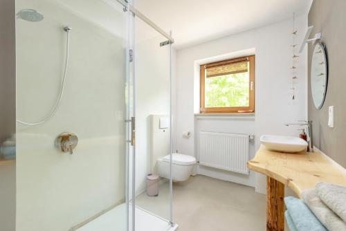 e bagno con doccia, servizi igienici e lavandino. di Kleine Ferienwohnung auf dem Land, Haus Hans Stepha a Gössweinstein