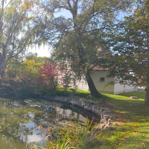 a pond in front of a house with a tree at Ferienwohnung H2 am Hainich 