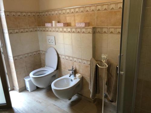 a bathroom with a toilet and a sink at Villa Elisa in Saluzzo