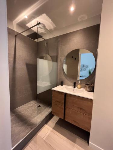 a bathroom with a sink and a shower with a mirror at La vie est belle à Saint Martin in Anse Marcel 