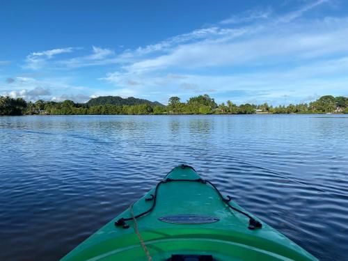 a green kayak on a large body of water at Orchid Island B&B on the River with Pool & Jetty in Pacific Harbour