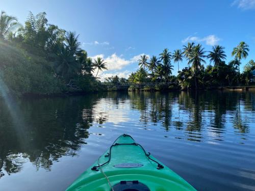 a green kayak on a river with palm trees at Orchid Island B&B on the River with Pool & Jetty in Pacific Harbour