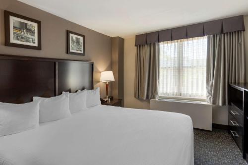 a hotel room with a large bed and a window at Best Western Gregory Hotel in Brooklyn