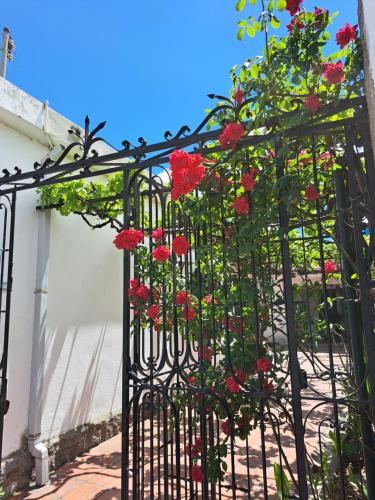 Sueño Cumbre – Photos 2