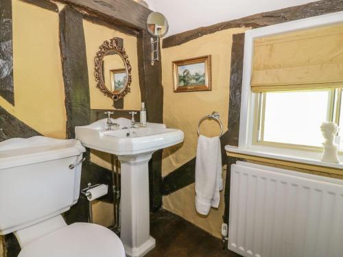 迪斯的住宿－Waveney Cottage，一间带水槽和卫生间的浴室以及窗户。