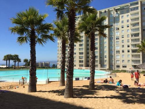 a group of palm trees on a beach with a building at DEPARTAMENTO HERMOSO CON VISTA AL MAR in Algarrobo