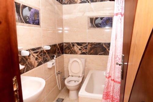 Salvatore Room With Breakfast-Behind Asyut Train Station في أسيوط: حمام صغير مع مرحاض ومغسلة