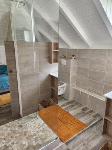 een grote badkamer met een douche en een toilet bij VILLA 6-10 PERS, VUE MER, Piscine Privée, PLAGE A PIEDS in Le Gosier