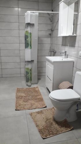 Bilik mandi di Guesthouse U dida Viktora