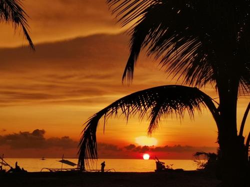 a sunset on a beach with a palm tree at Sulu Sunset Beach Resort in Nauhang