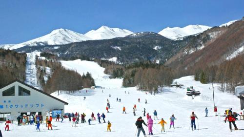 a group of people skiing on a ski slope at Kyukamura Norikura-Kogen in Matsumoto