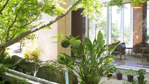 a garden with plants in a building with windows at Kyukamura Minami-Izu in Minamiizu