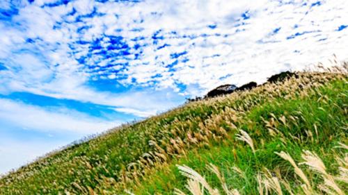 a grassy hill with a blue sky and clouds at Kyukamura Minami-Izu in Minamiizu