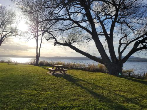 a picnic bench sitting in the grass near the water at Condo de L'Oberge in Magog-Orford
