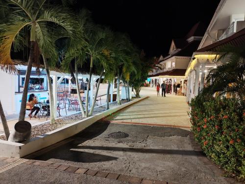 a street with palm trees and people walking down a sidewalk at Studio Coco Zen in Sainte-Anne