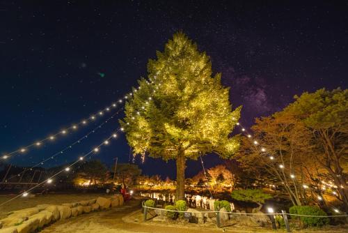 Kensington Resort Seorak Valley – Photos 4